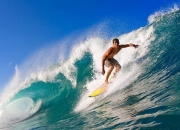 开云官网-森林狼的坚韧与恩比德的统治，跨越篮球世界的双重奏