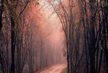 开云体育app-法国险胜美国，托尼惊艳四座的简单介绍