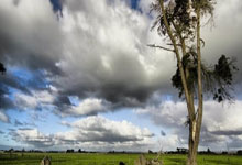 开云体育app-法国险胜美国，托尼惊艳四座的简单介绍