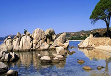 开云体育app-法国险胜美国，托尼惊艳四座的简单介绍