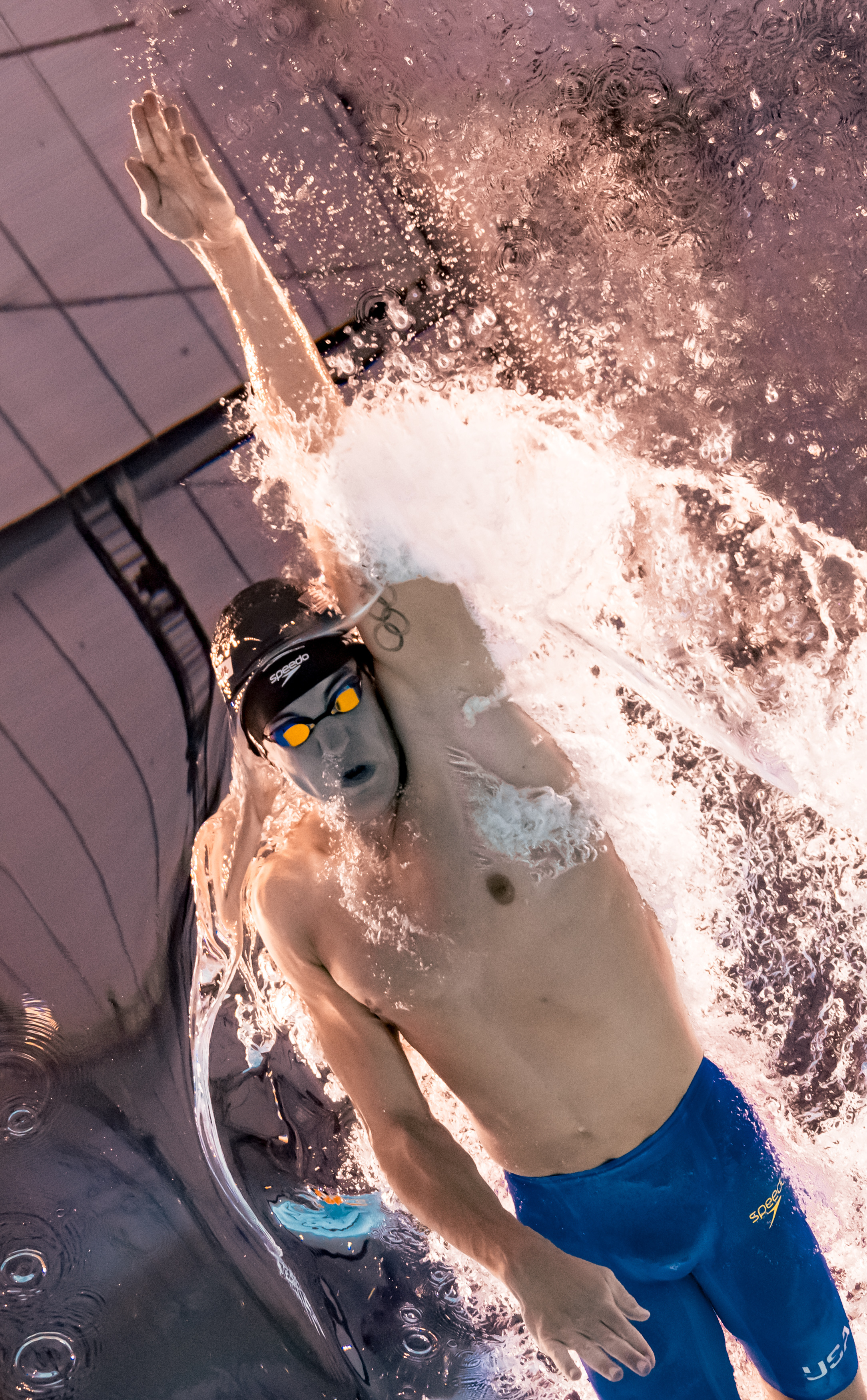 游泳男子自由泳决赛：澳大利亚选手奋力一搏的简单介绍