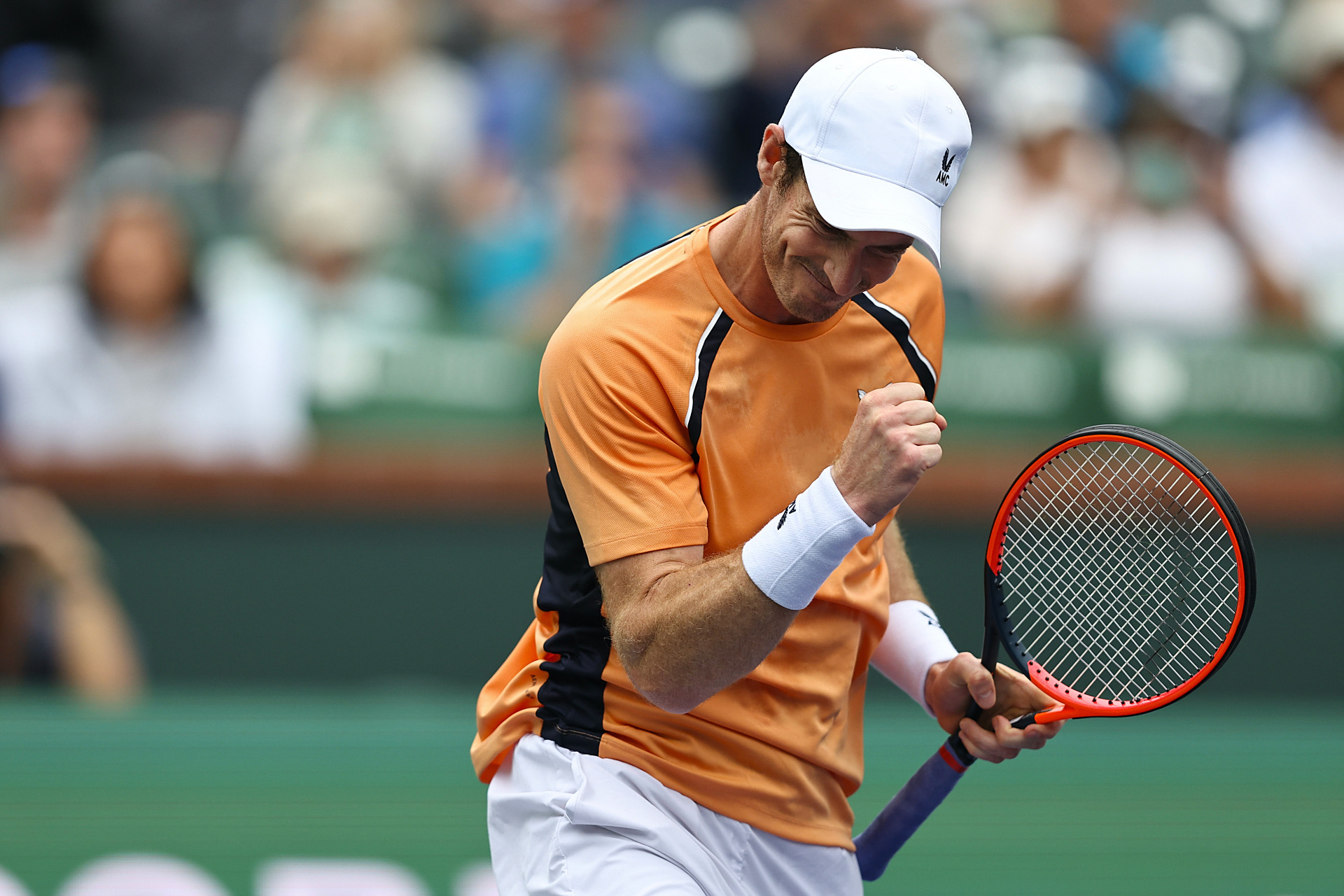 关于澳网碾压ATP总决赛，穆雷高光表现的信息