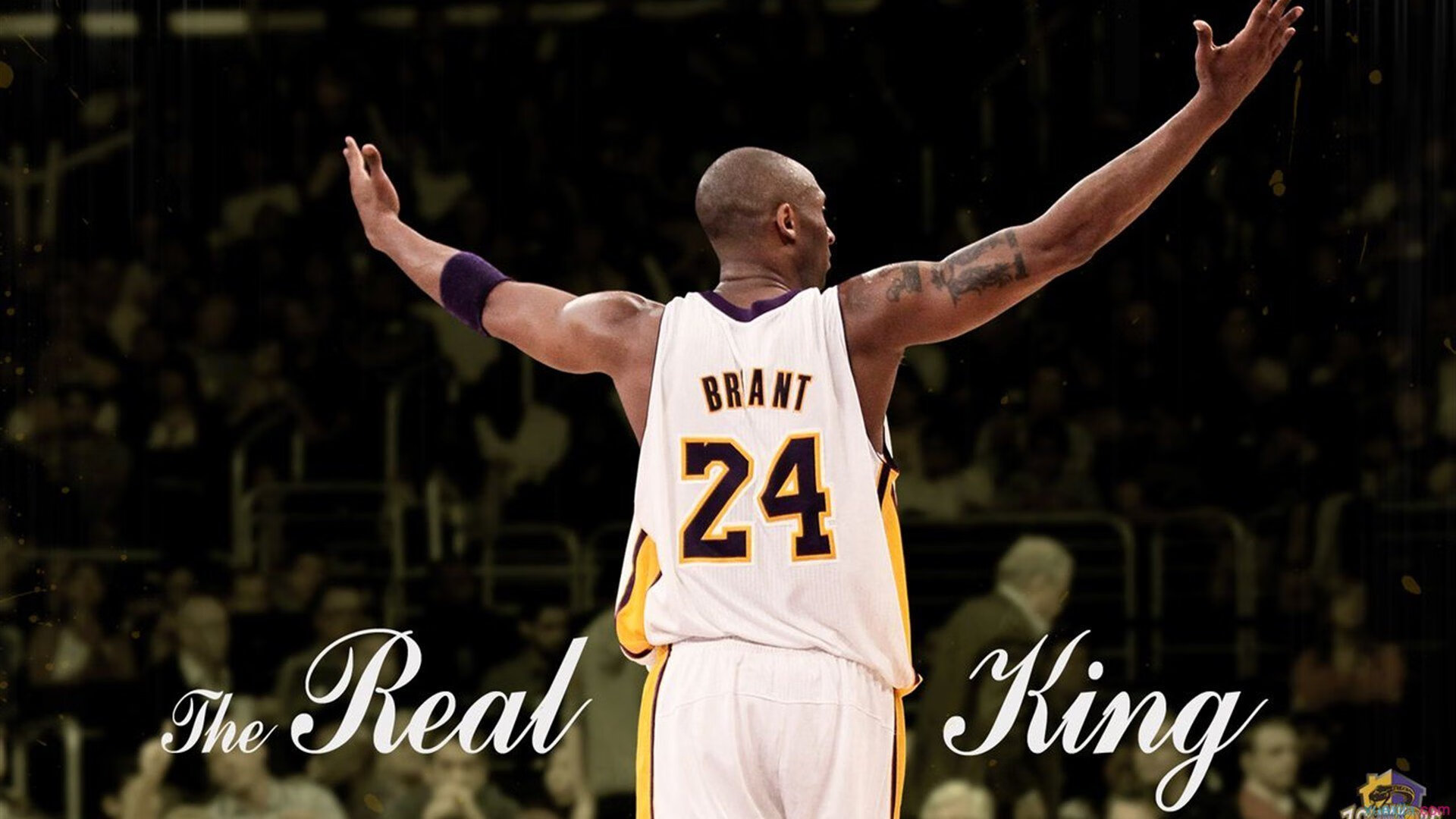 战术铁幕,从梅西的防守艺术到加拿大的封锁密码—现代竞技的锁死哲学